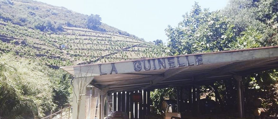 banner La Guinelle