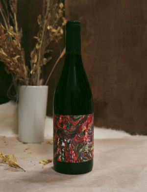 Adam contre le Beefsteack vin naturel rouge 2017 Domaine Daniel Sage 1