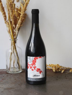 Adonis vin naturel rouge La Grapperie 2017