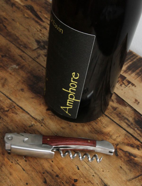 Amphore vin rouge 2016 domaine de l octavin alice bouvot 3