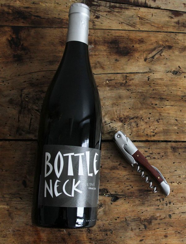 Bottle neck vin naturel rouge 2011 domaine leonine 3