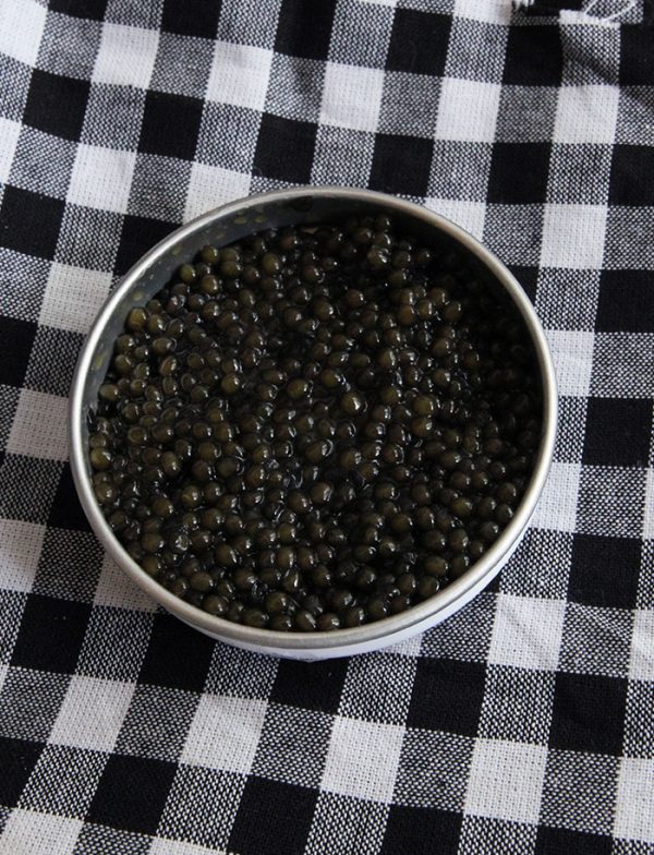 Caviar Oscietre signature 2