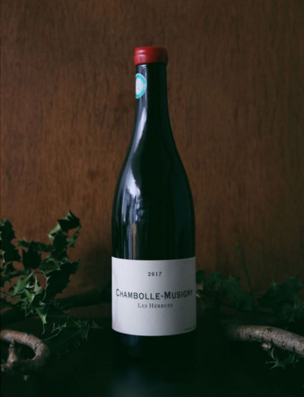 Chambolle Musigny Les Herbues vin naturel rouge 2017 Domaine de Chassorney Frederic Cossard 1