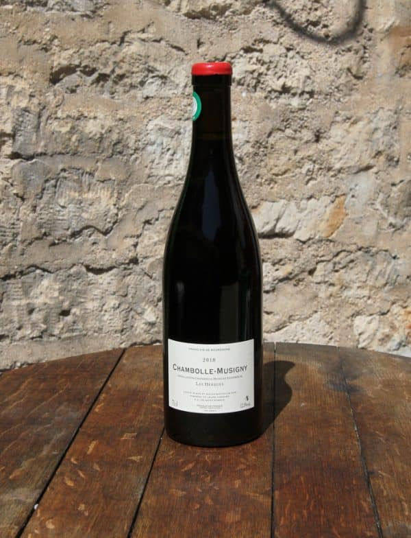 Chambrolle Musigny Les Herbues vin naturel rouge 2018 Domaine de Chassorney Frederic Cossard 2 scaled 1