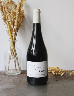 Dune rive a lautre 2015 vin naturel rouge Domauine Bauchet 1