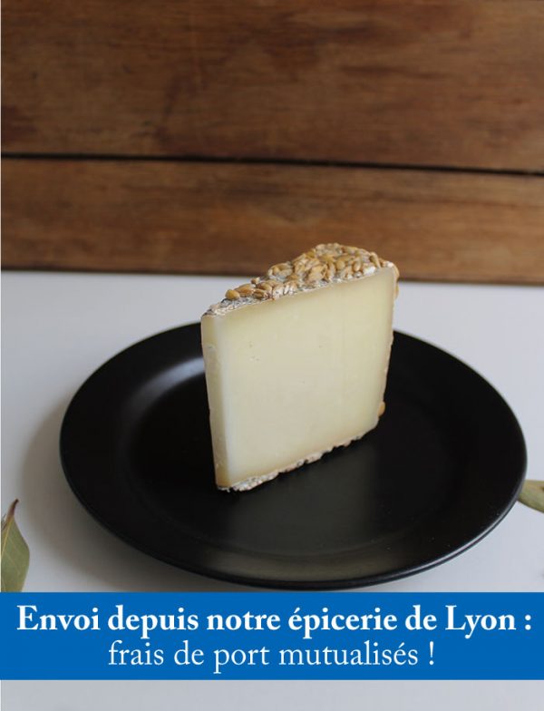 Fromage frumentino affine au ble 1 1