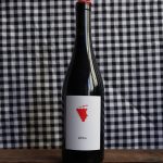 I wine vin naturel rouge 2018 les vignes du domaine du temps 1