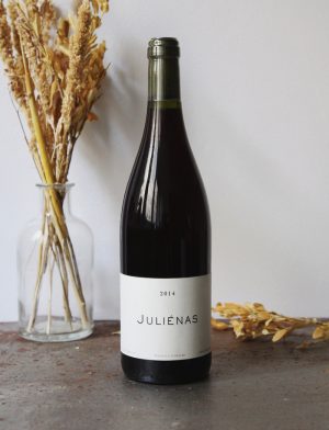 Julienas vin naturel rouge 2014 Domaine de Chassorney Frederic Cossard 1