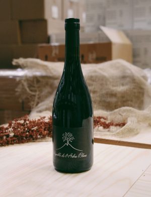 Les Orgues vin naturel rouge 2018 Frederic Gounan Vignoble de l Arbre blanc 1