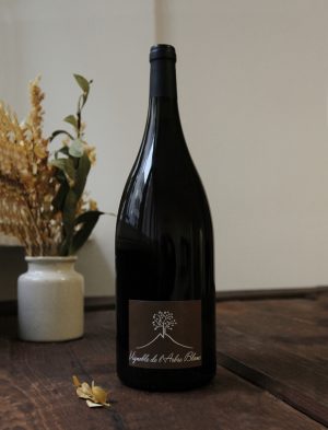 Magnum Les Fesses vin naturel blanc 2015 Frederic Gounan Vignoble de l Arbre blanc 1