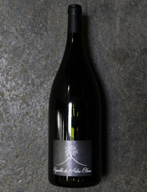 Magnum Les Grandes Orgues vin naturel rouge 2016 Frederic Gounan Vignoble de l Arbre blanc 1