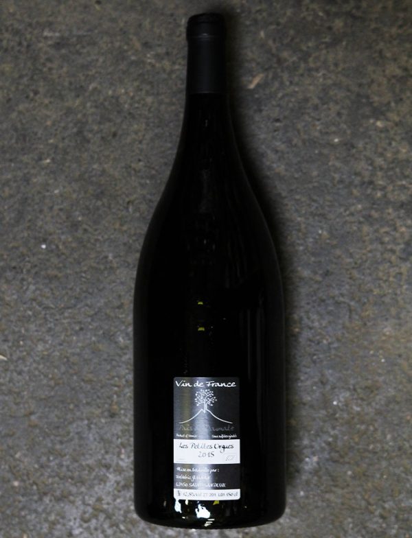 Magnum Les Petites Orgues vin naturel rouge 2015 Frederic Gounan Vignoble de l Arbre blanc 2