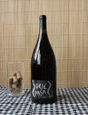 Magnum que pasa vin naturel rouge 2012 domaine leonine 1