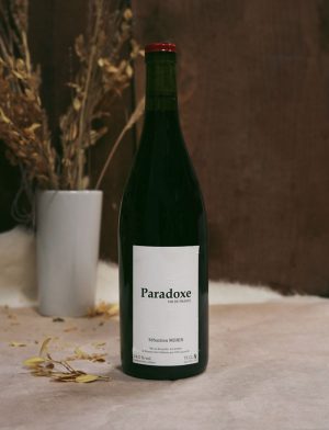 Paradoxe vin naturel rouge 2017 Sebastien Morin 1