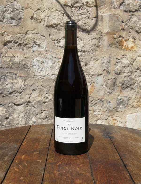 Pinot Noir vin naturel rouge 2018 Domaine de Chassorney Frederic Cossard 2