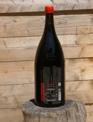 Rehoboam Susucaru Rosso vin rouge 2017 Frank Cornelissen 1 scaled 1