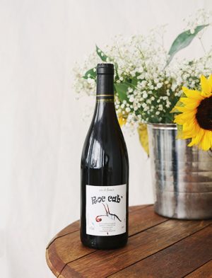 Roc Cab vin naturel rouge 2015 Les Vignes de Babass