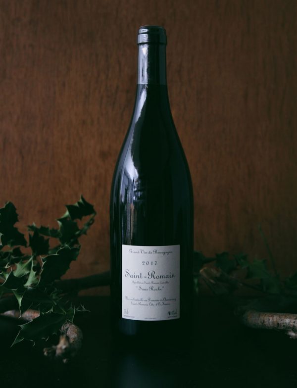 Saint Romain Sous Roche vin naturel rouge 2017 Domaine de Chassorney Frederic Cossard 2