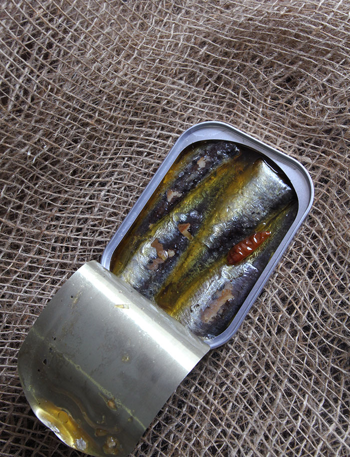 Sardines a l huile d olive bio et au piment 3
