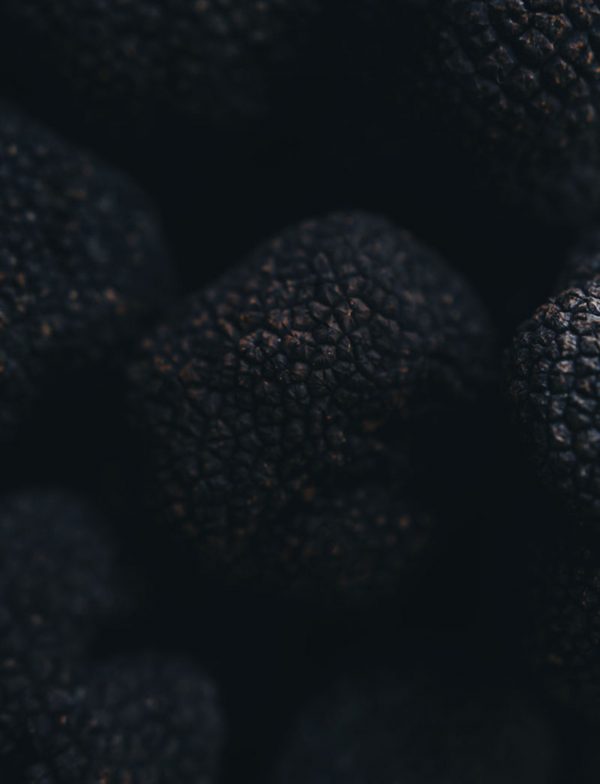 truffe noire fraiche perigord 2