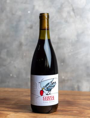 Corvagialla Vino Rosso vin naturel rouge 2017 1